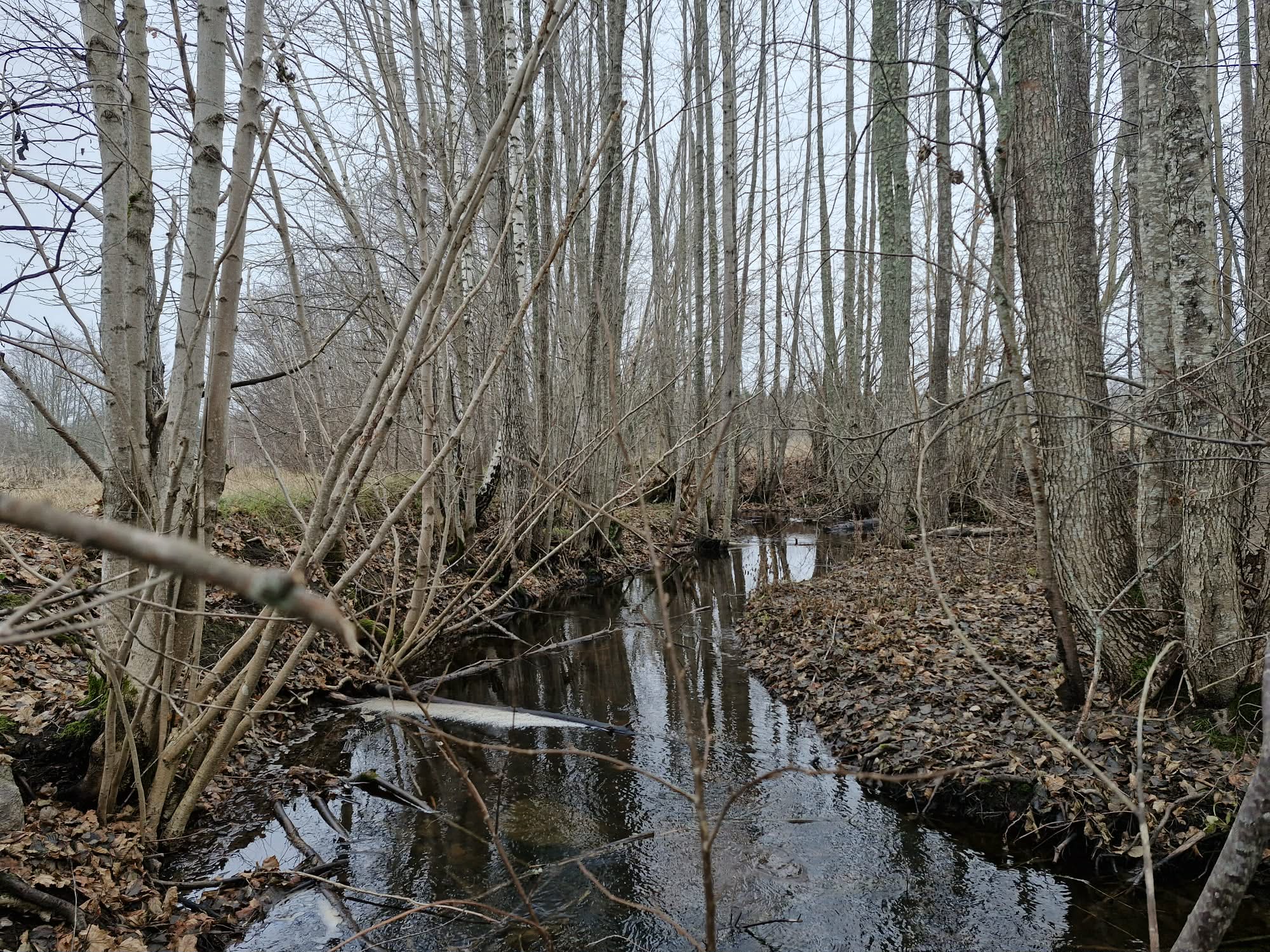 Trusksjön-träffen: Succé för vattenvård och kolkrediter